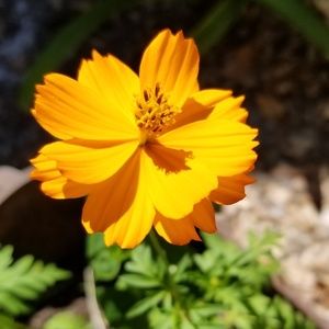 Meet your Posher, Martha